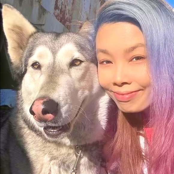 Meet your Posher, Bee - Picture 1 of 1